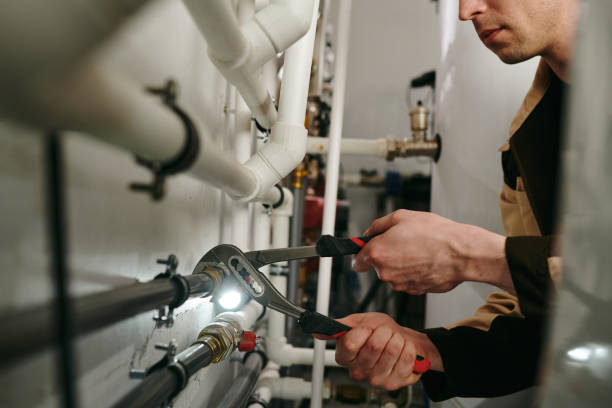 Best Plumbing Inspection Services  in Heber Overgaard, AZ